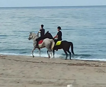 Village Torrenova